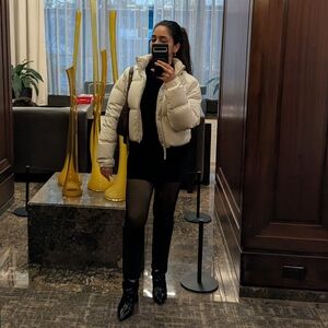 Aritzia Super Puff Shorty